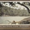 Coal and Candle Creek, Cowan Waters. Courtesy Mitchell Library